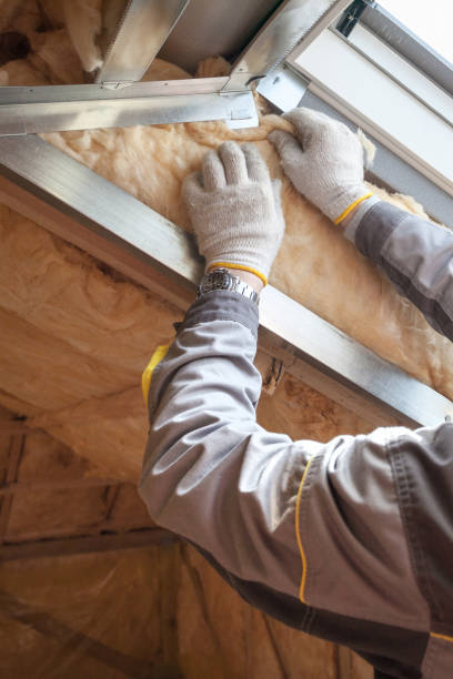 Best Specialized Insulation Services in Richmond, MI