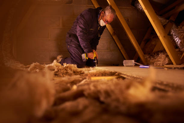 Best Eco-Friendly Insulation in Richmond, MI